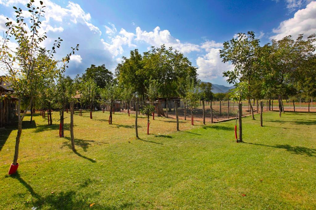 Azienda Agrituristica Pericle Montella Exterior photo